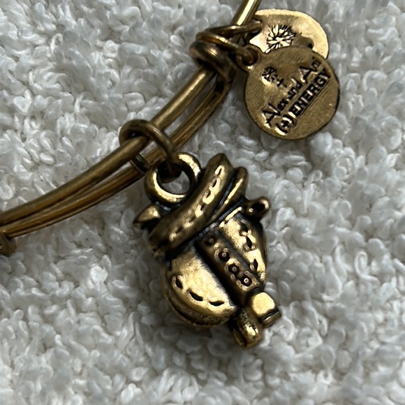 Alex and Ani gold metals adjustable bangle featuring a western saddle charm - Picture 6 of 7